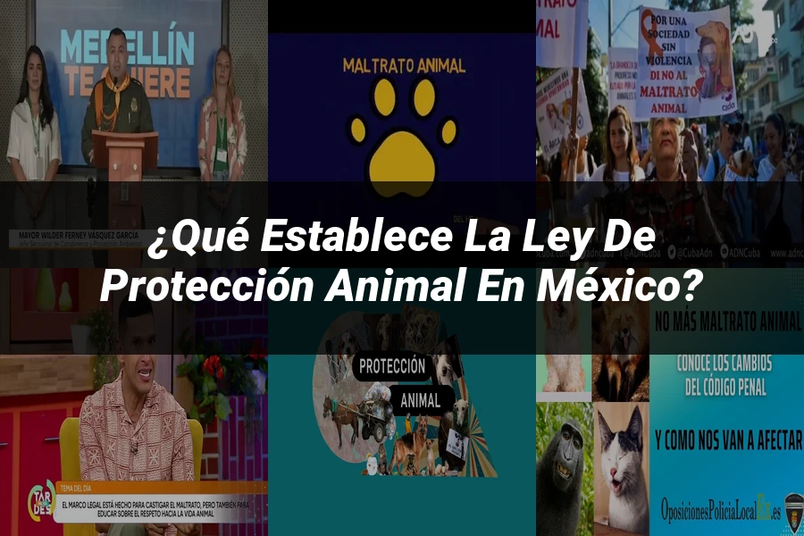 "¿Qué Establece la Ley de Protección Animal en México?"
