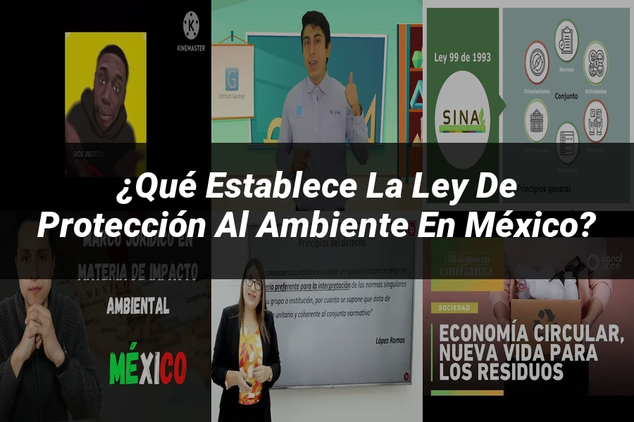 "¿Qué Establece la Ley de Protección al Ambiente en México?"