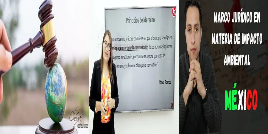 "¿Qué Establece la Ley de Protección al Ambiente en México?"