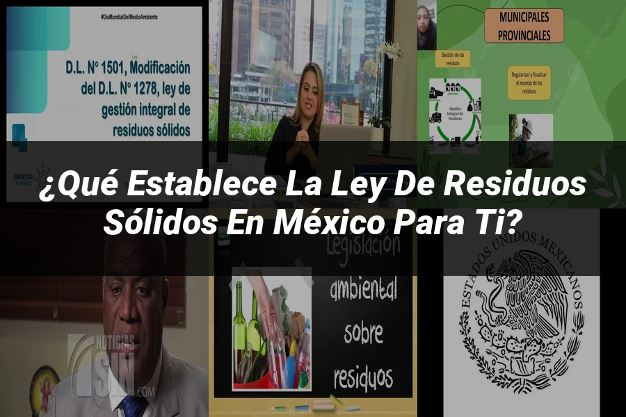 "¿Qué Establece la Ley de Residuos Sólidos en México para Ti?"