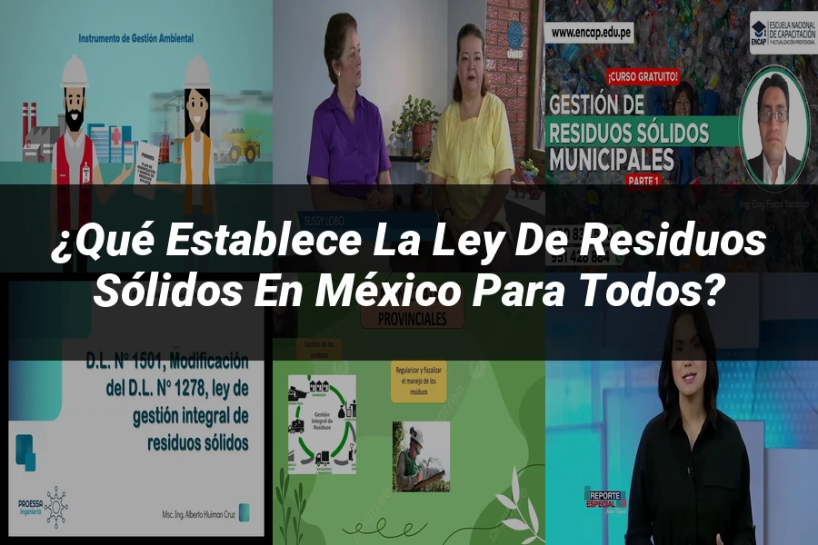 "¿Qué Establece la Ley de Residuos Sólidos en México para Todos?"