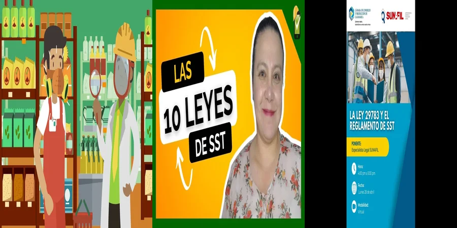 "¿Qué Establece la Ley de Seguridad y Salud en el Trabajo en México?"