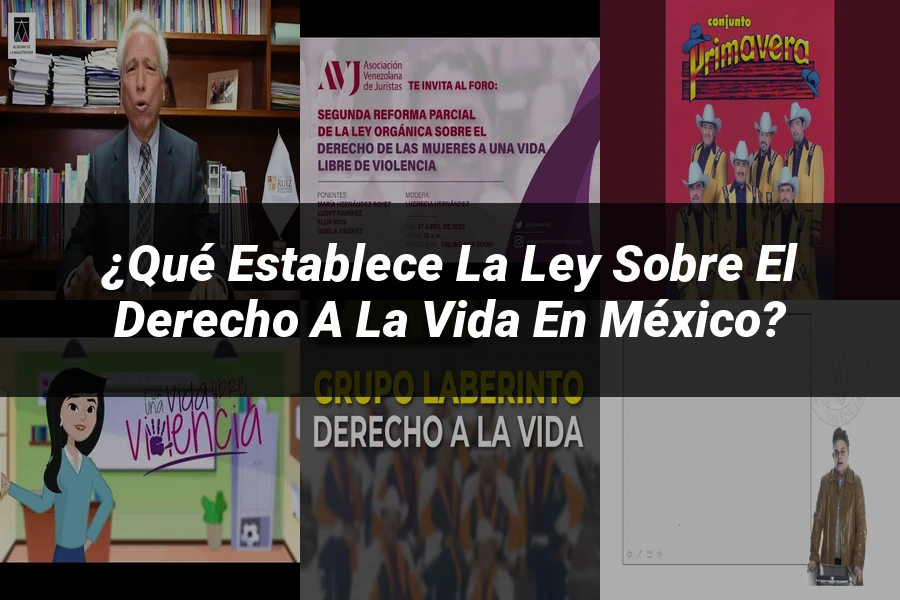 "¿Qué Establece la Ley sobre el Derecho a la Vida en México?"