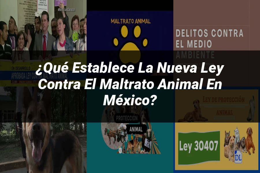 "¿Qué Establece la Nueva Ley Contra el Maltrato Animal en México?"
