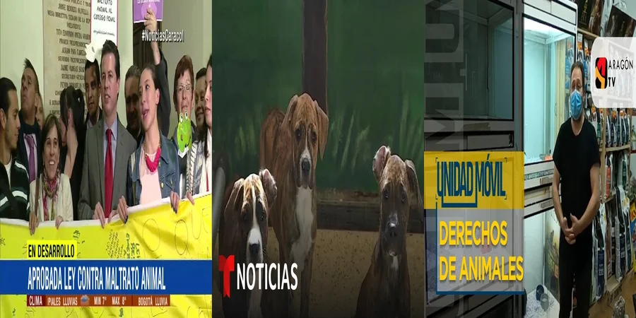 "¿Qué Establece la Nueva Ley Contra el Maltrato Animal en México?"