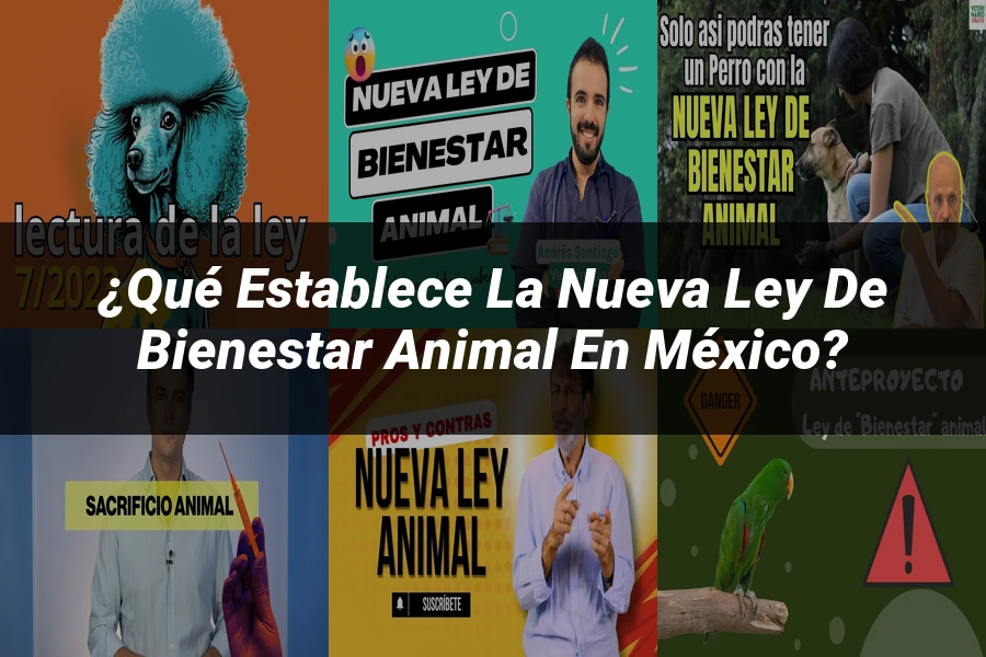 "¿Qué Establece la Nueva Ley de Bienestar Animal en México?"