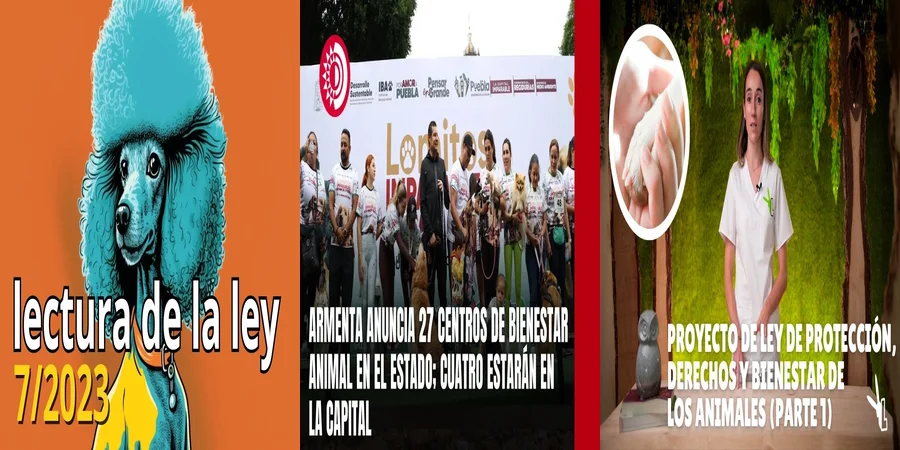 "¿Qué Establece la Nueva Ley de Bienestar Animal en México?"