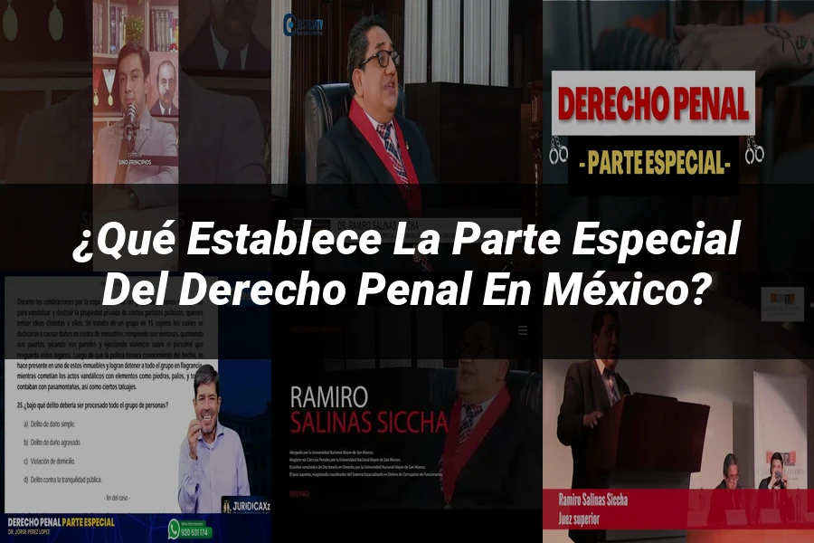 "¿Qué Establece la Parte Especial del Derecho Penal en México?"