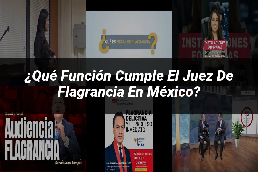 "¿Qué Función Cumple el Juez de Flagrancia en México?"