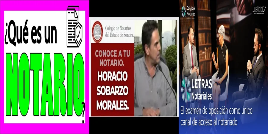 "¿Qué Función Cumple el Notario Titular en México?"