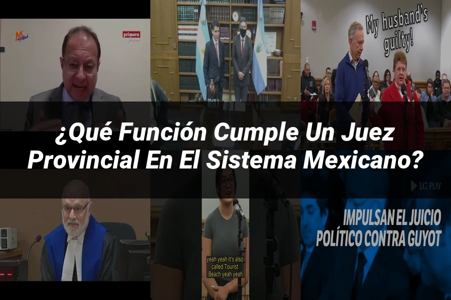 "¿Qué Función Cumple un Juez Provincial en el Sistema Mexicano?"