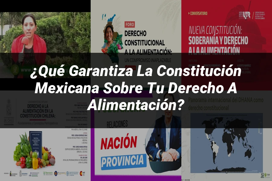"¿Qué Garantiza la Constitución Mexicana sobre tu Derecho a Alimentación?"