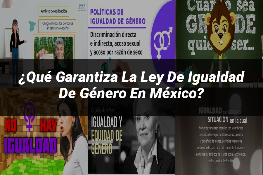 "¿Qué Garantiza la Ley de Igualdad de Género en México?"