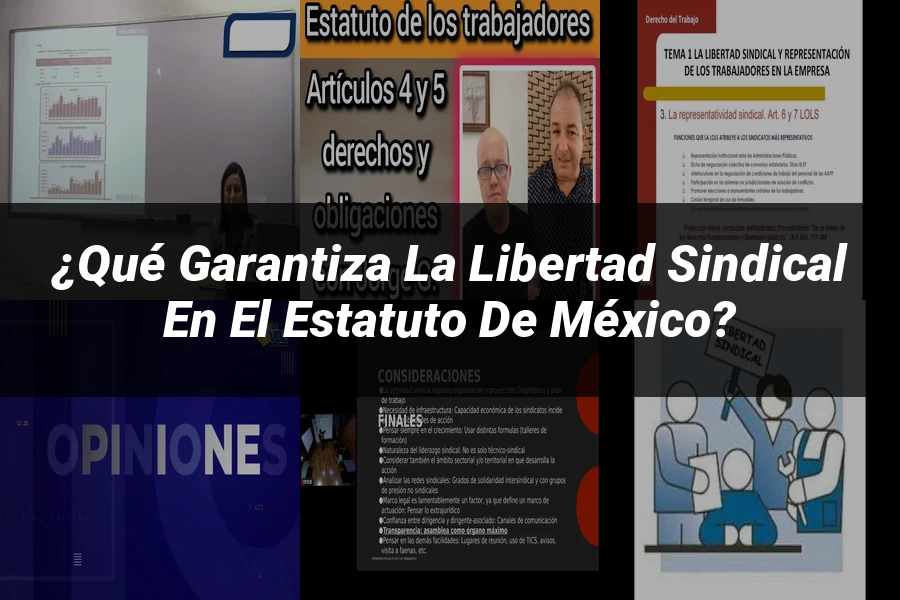 "¿Qué Garantiza la Libertad Sindical en el Estatuto de México?"
