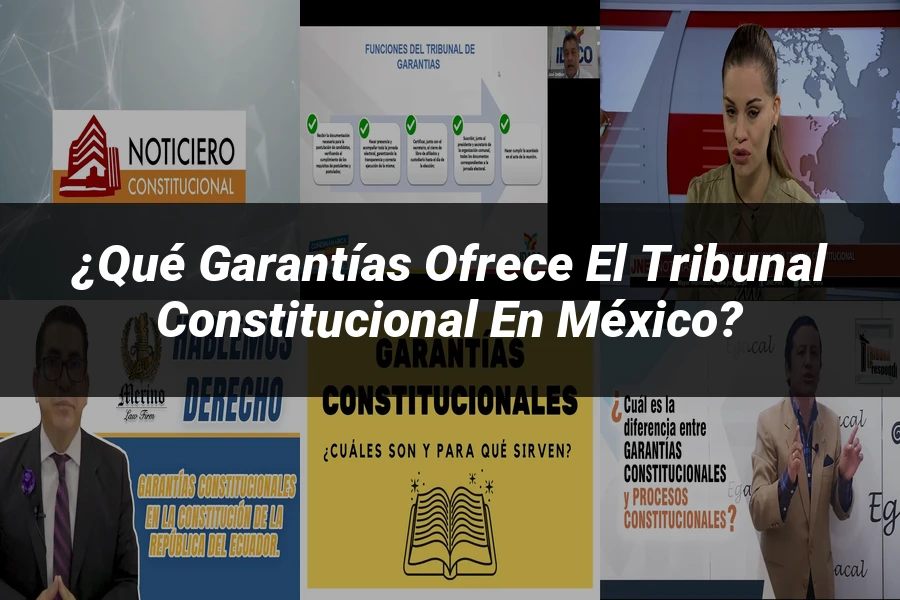 "¿Qué Garantías Ofrece el Tribunal Constitucional en México?"