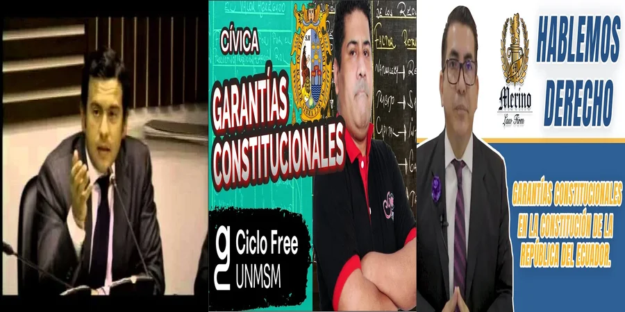 "¿Qué Garantías Ofrece el Tribunal Constitucional en México?"