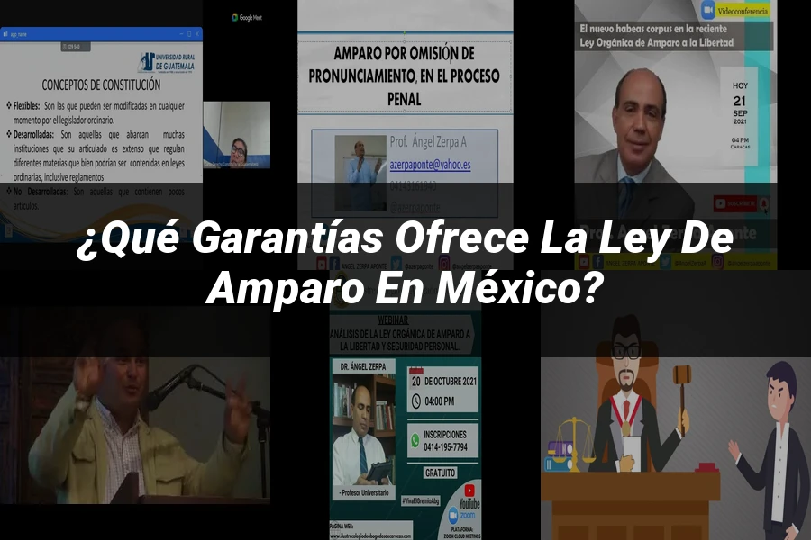 "¿Qué Garantías Ofrece la Ley de Amparo en México?"