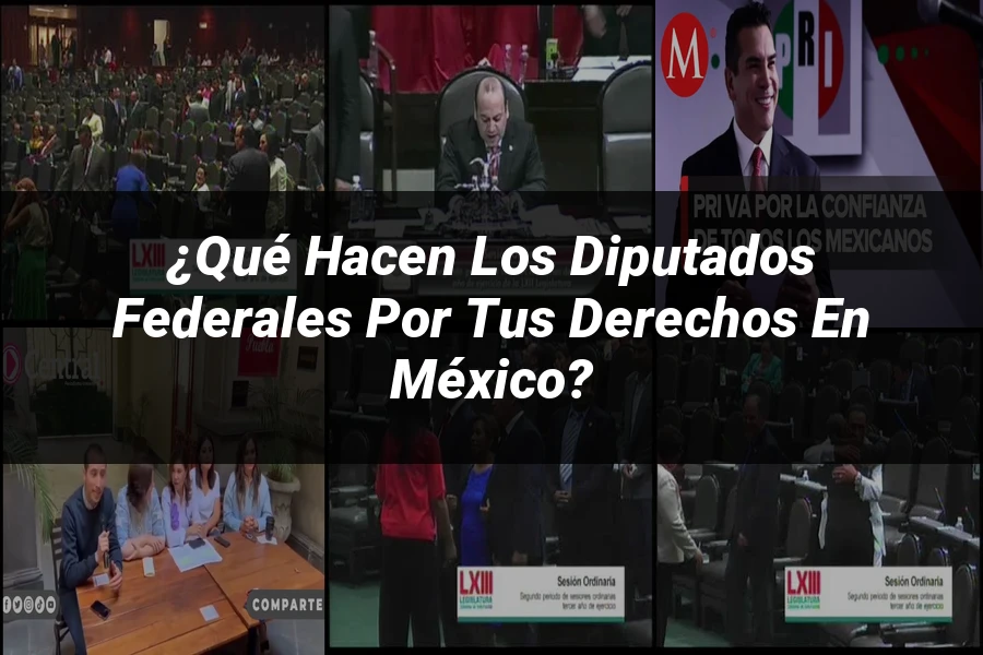"¿Qué Hacen los Diputados Federales por tus Derechos en México?"