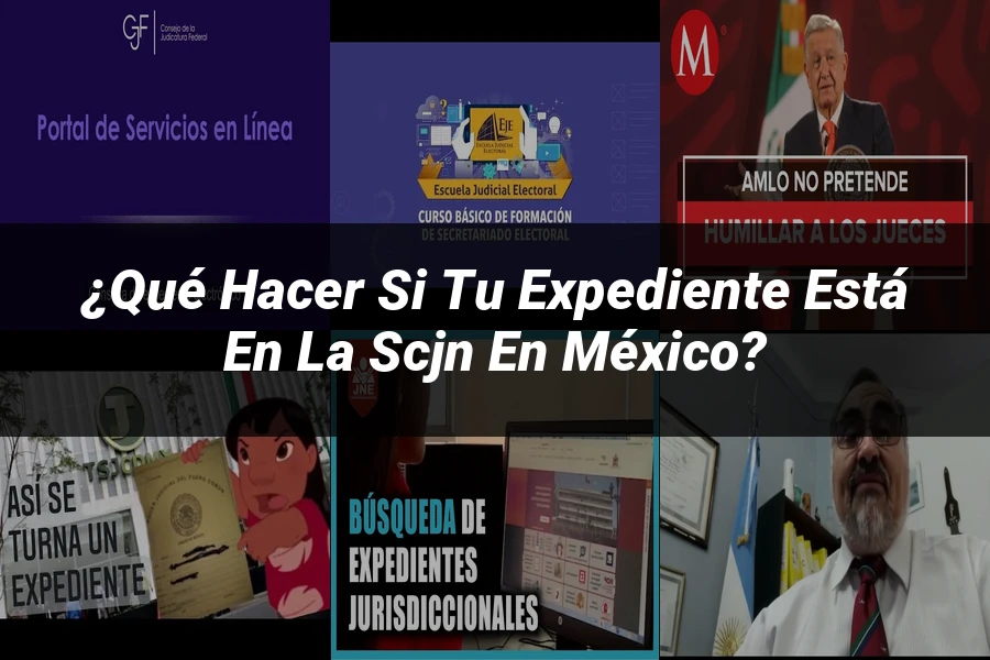 "¿Qué Hacer Si Tu Expediente Está en la SCJN en México?"