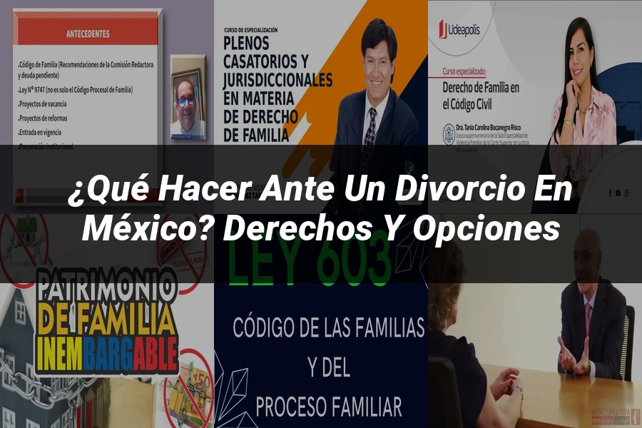 "¿Qué Hacer ante un Divorcio en México? Derechos y Opciones"