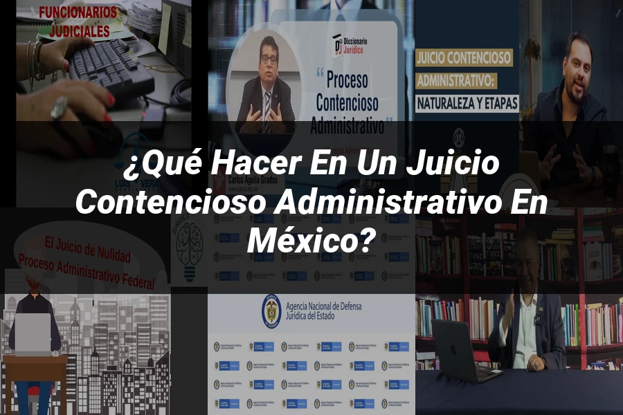 "¿Qué Hacer en un Juicio Contencioso Administrativo en México?"