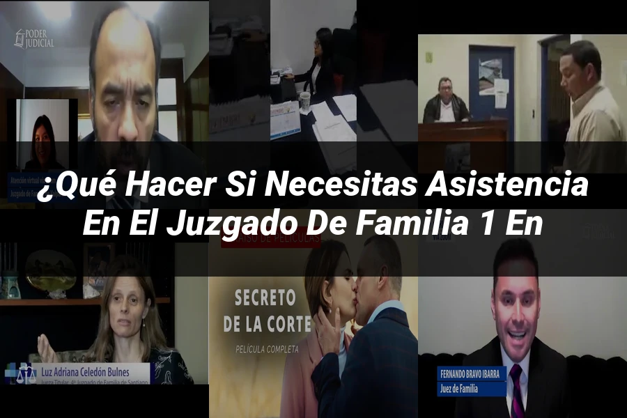 "¿Qué Hacer si Necesitas Asistencia en el Juzgado de Familia 1 en