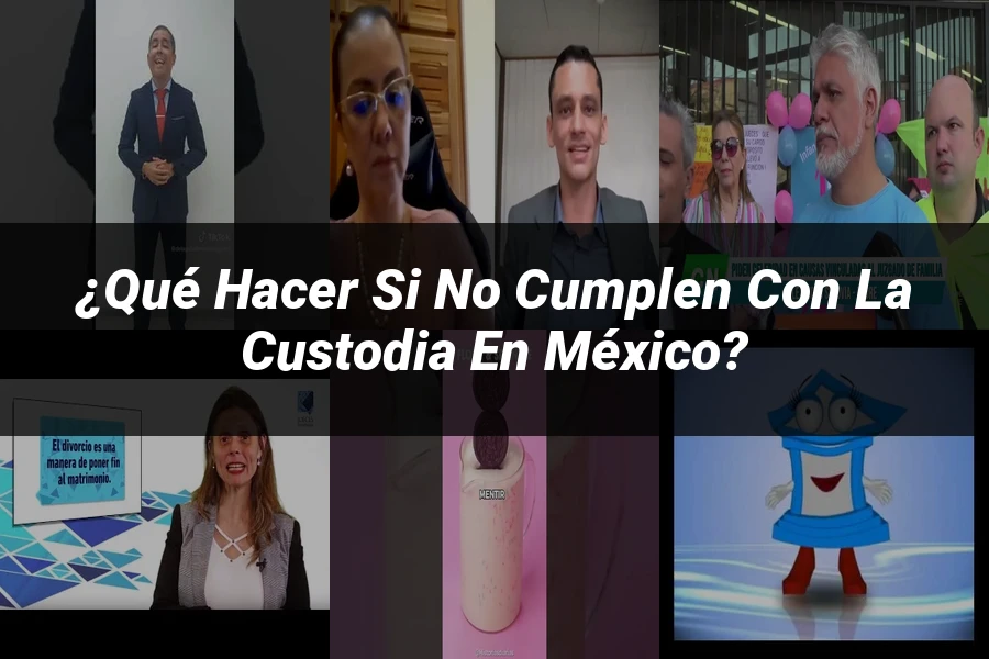 "¿Qué Hacer si No Cumplen con la Custodia en México?"