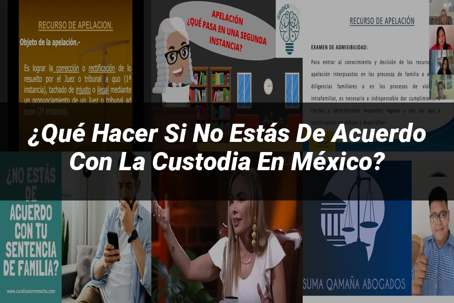 "¿Qué Hacer si No Estás de Acuerdo con la Custodia en México?"