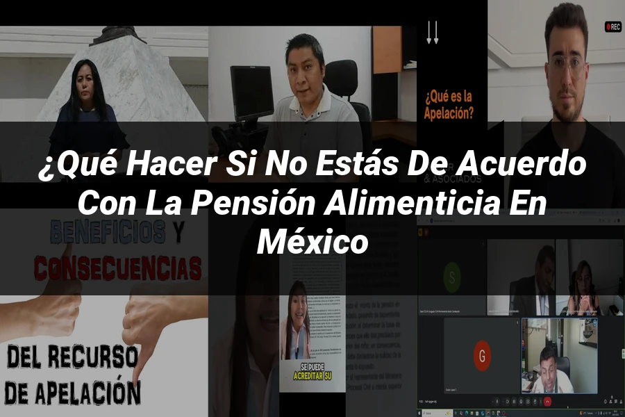 "¿Qué Hacer si No Estás de Acuerdo con la Pensión Alimenticia en México
