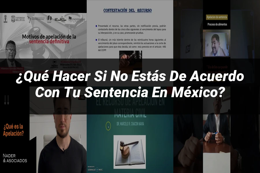 "¿Qué Hacer si No Estás de Acuerdo con tu Sentencia en México?"