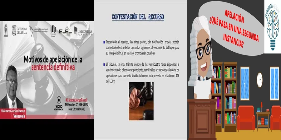 "¿Qué Hacer si No Estás de Acuerdo con tu Sentencia en México?"