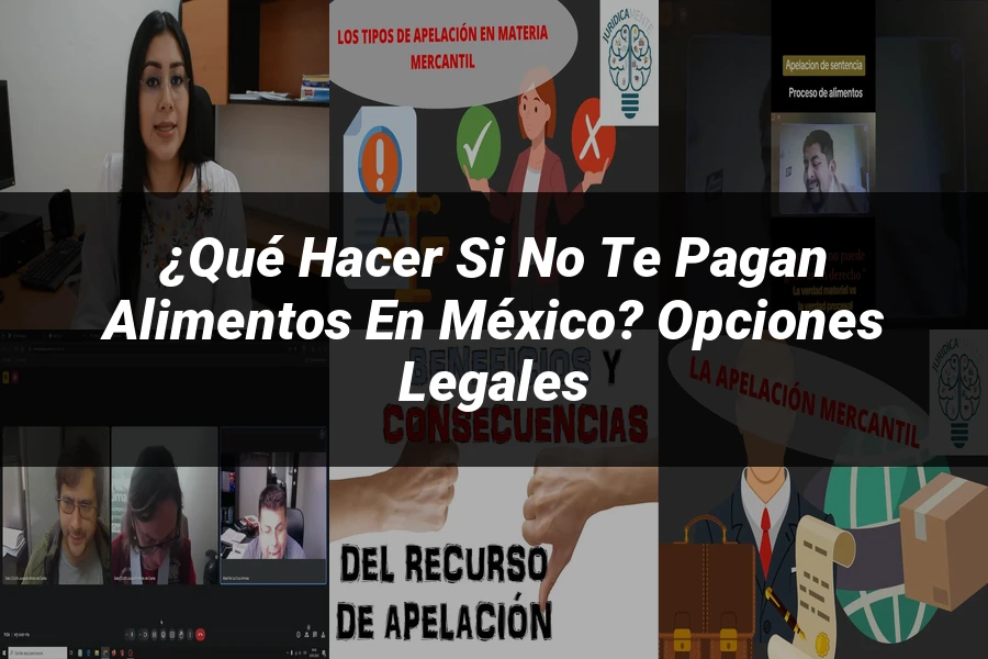 "¿Qué Hacer si No Te Pagan Alimentos en México? Opciones Legales"