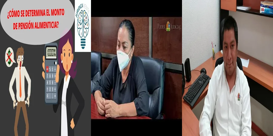 "¿Qué Hacer si No Te Pagan Alimentos en México? Opciones Legales"