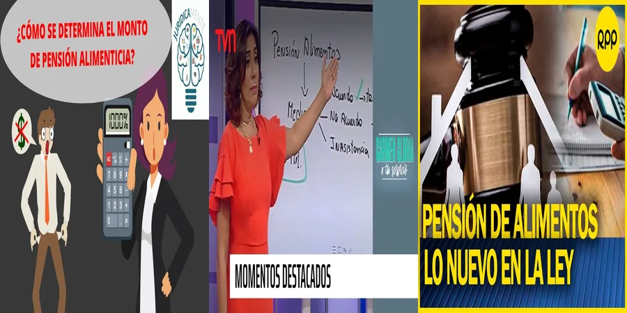"¿Qué Hacer si No Te Pagan la Pensión Alimenticia en México?"