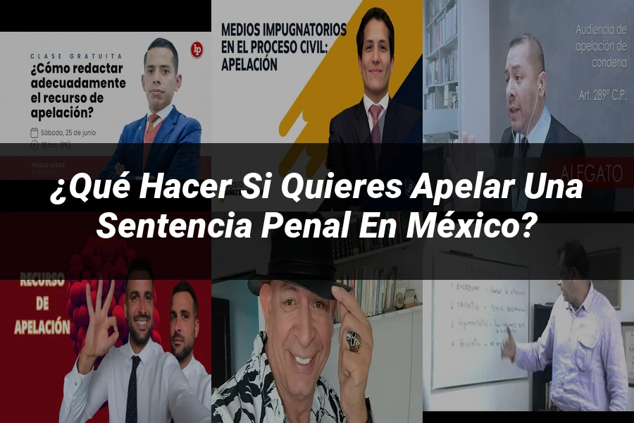 "¿Qué Hacer si Quieres Apelar una Sentencia Penal en México?"