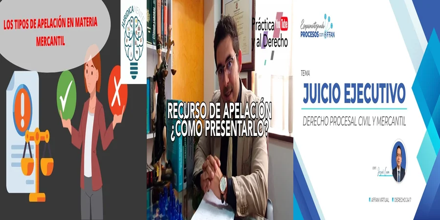 "¿Qué Hacer si Rechazan tu Recurso de Apelación en México?"