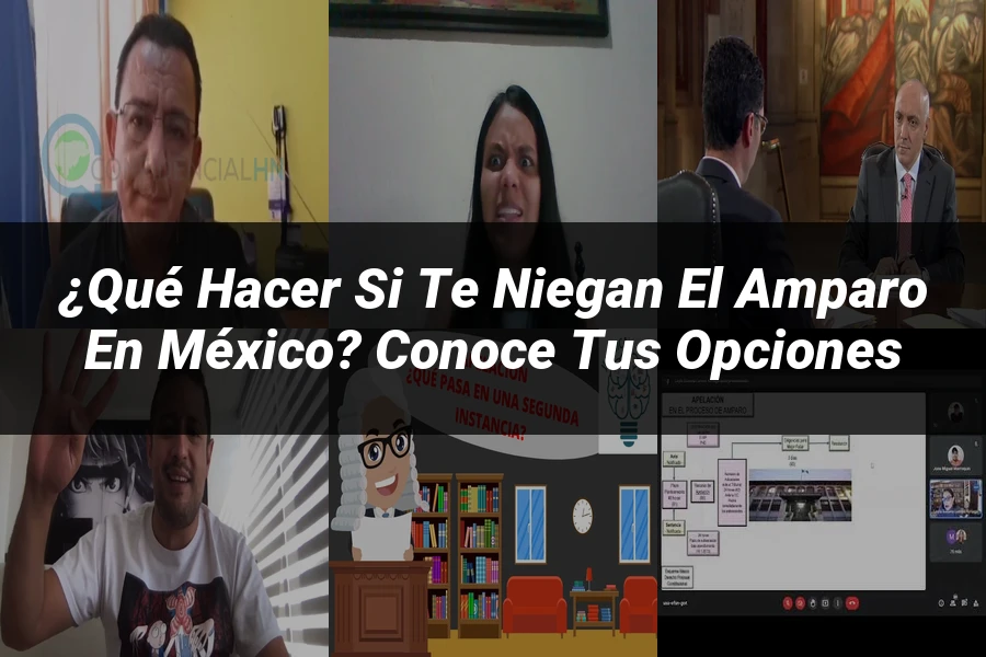 "¿Qué Hacer si Te Niegan el Amparo en México? Conoce tus Opciones