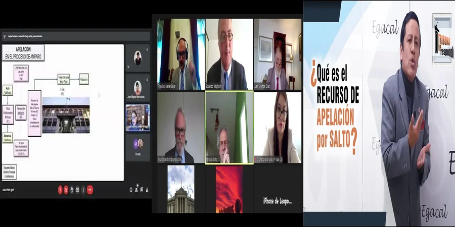 "¿Qué Hacer si Te Niegan el Amparo en México? Conoce tus Opciones