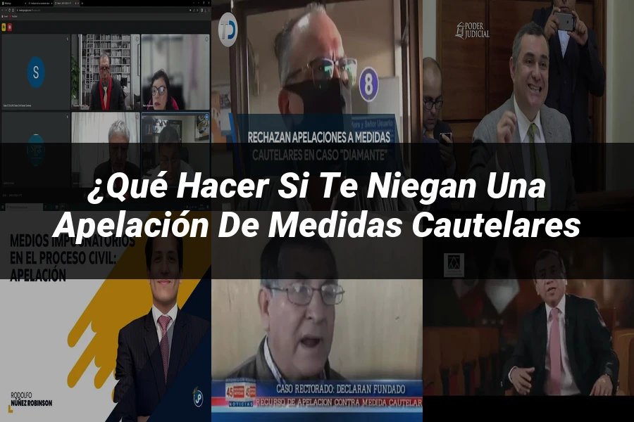 "¿Qué Hacer si Te Niegan una Apelación de Medidas Cautelares