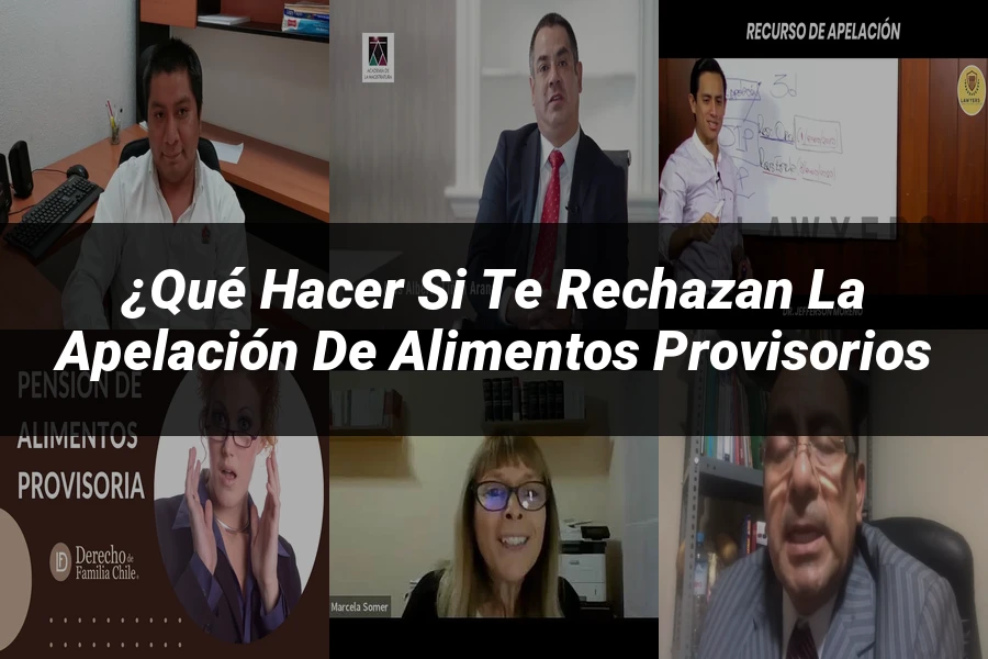 "¿Qué Hacer si Te Rechazan la Apelación de Alimentos Provisorios
