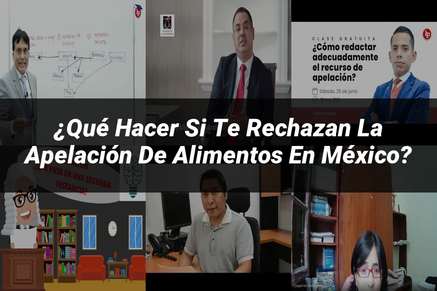 "¿Qué Hacer si Te Rechazan la Apelación de Alimentos en México?"