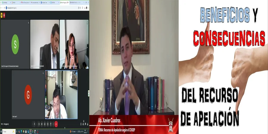 "¿Qué Hacer si Te Rechazan la Apelación de Alimentos en México?"