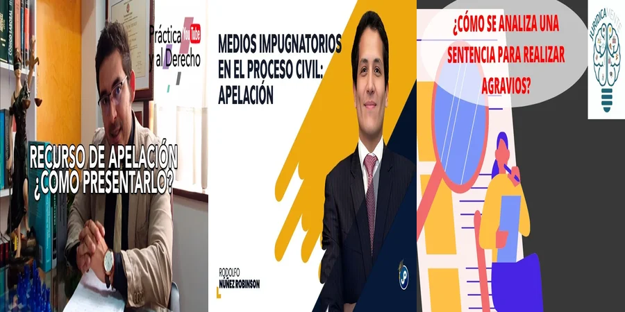 "¿Qué Hacer si Te Rechazan un Recurso de Apelación Civil en México