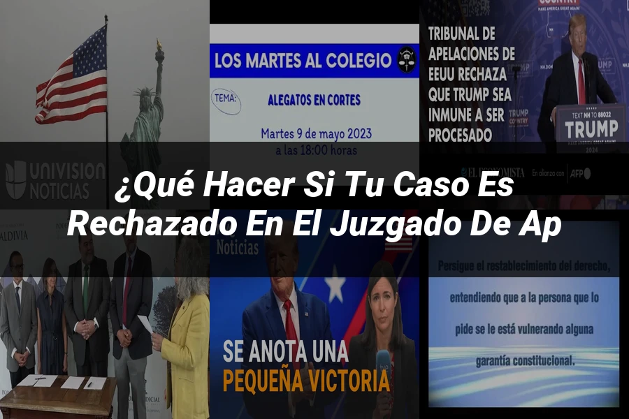 "¿Qué Hacer si Tu Caso es Rechazado en el Juzgado de Ap