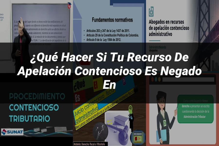 "¿Qué Hacer si Tu Recurso de Apelación Contencioso es Negado en