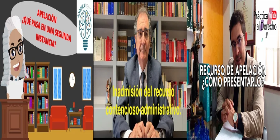 "¿Qué Hacer si Tu Recurso de Apelación Contencioso es Negado en