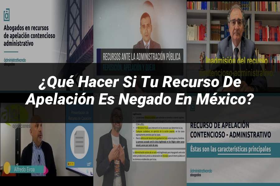 "¿Qué Hacer si tu Recurso de Apelación es Negado en México?"