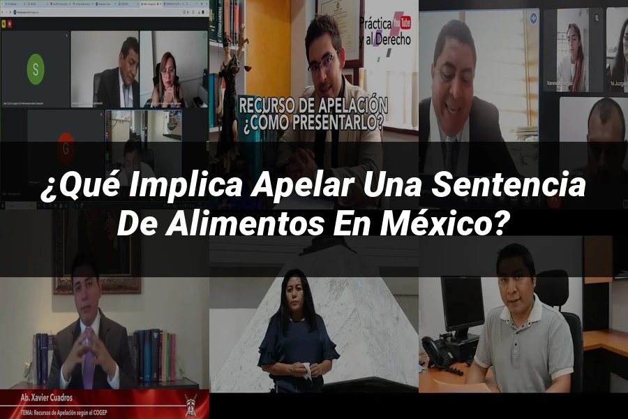 "¿Qué Implica Apelar una Sentencia de Alimentos en México?"