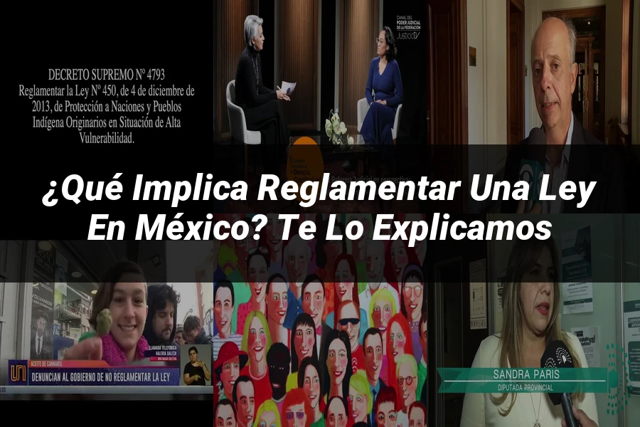 "¿Qué Implica Reglamentar una Ley en México? Te Lo Explicamos"