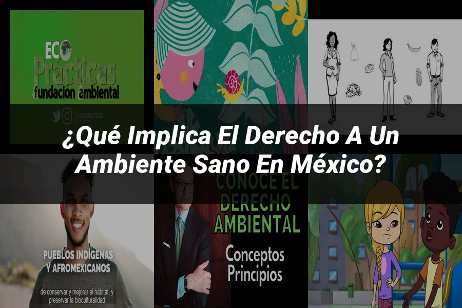 "¿Qué Implica el Derecho a un Ambiente Sano en México?"